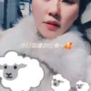 城月いろは 急遽 Mrs. Dandy Shibuya