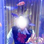 ヒメ日記 2025/02/09 17:30 投稿 ちと 和楽(わらく)