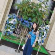 ヒメ日記 2025/07/08 16:32 投稿 城月いろは Mrs. Dandy Yokohama