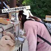 ヒメ日記 2025/11/27 22:11 投稿 城月いろは Mrs. Dandy Haneda