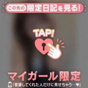 ヒメ日記 2025/12/29 16:16 投稿 ミナミ マテリアル