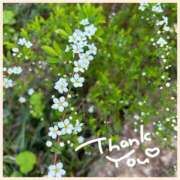 ヒメ日記 2025/03/23 12:05 投稿 さくら DIVA-ディーバ-【DIVAグループ】