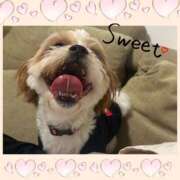 さくら 出勤します！！(なのに下書きに😭‼︎) DIVA-ディーバ-【DIVAグループ】