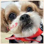 さくら 今月もありがとうございました🥹！！ DIVA-ディーバ-【DIVAグループ】