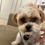 ヒメ日記 2026/01/25 17:01 投稿 さくら DIVA-ディーバ-【DIVAグループ】