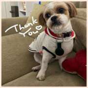 ヒメ日記 2026/02/20 20:35 投稿 さくら DIVA-ディーバ-【DIVAグループ】