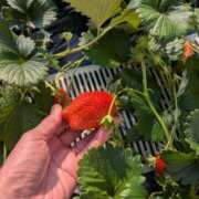 ヒメ日記 2025/02/10 09:10 投稿 しほ ニューヨークニューヨーク