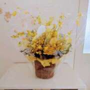 ヒメ日記 2025/02/14 18:11 投稿 しほ ニューヨークニューヨーク