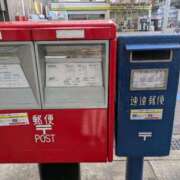 ヒメ日記 2025/02/18 08:35 投稿 しほ ニューヨークニューヨーク