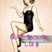 ヒメ日記 2025/06/04 17:48 投稿 しほ ニューヨークニューヨーク