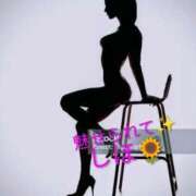 ヒメ日記 2025/08/07 17:40 投稿 しほ ニューヨークニューヨーク