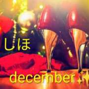 ヒメ日記 2025/11/15 16:47 投稿 しほ ニューヨークニューヨーク