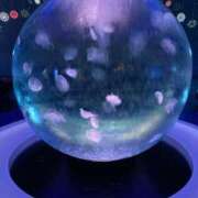 ヒメ日記 2025/02/11 11:04 投稿 凛玖 東京人妻フォーシーズンズ