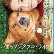 ヒメ日記 2025/02/13 10:14 投稿 凛玖 東京人妻フォーシーズンズ