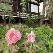 ヒメ日記 2025/02/14 10:54 投稿 凛玖 東京人妻フォーシーズンズ