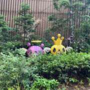 ヒメ日記 2025/03/11 09:54 投稿 凛玖 東京人妻フォーシーズンズ