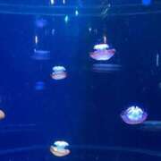 ヒメ日記 2025/03/16 11:24 投稿 凛玖 東京人妻フォーシーズンズ