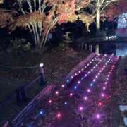 ヒメ日記 2025/03/16 23:44 投稿 凛玖 東京人妻フォーシーズンズ