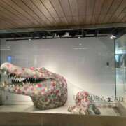 ヒメ日記 2025/03/17 11:44 投稿 凛玖 東京人妻フォーシーズンズ