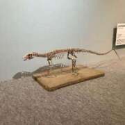 ヒメ日記 2025/03/20 10:24 投稿 凛玖 東京人妻フォーシーズンズ