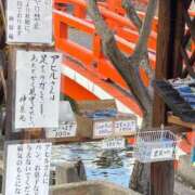 ヒメ日記 2025/03/26 11:04 投稿 凛玖 東京人妻フォーシーズンズ