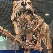 ヒメ日記 2025/03/30 11:04 投稿 凛玖 東京人妻フォーシーズンズ