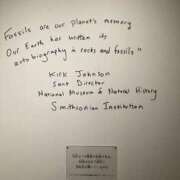 ヒメ日記 2025/04/03 12:04 投稿 凛玖 東京人妻フォーシーズンズ