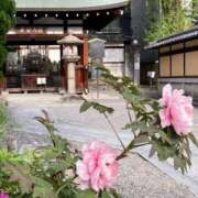 ヒメ日記 2025/04/08 11:54 投稿 凛玖 東京人妻フォーシーズンズ