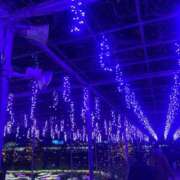 ヒメ日記 2025/04/14 11:04 投稿 凛玖 東京人妻フォーシーズンズ