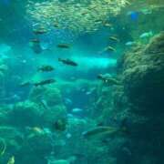 ヒメ日記 2025/05/06 11:14 投稿 凛玖 東京人妻フォーシーズンズ