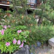 ヒメ日記 2025/05/09 11:04 投稿 凛玖 東京人妻フォーシーズンズ