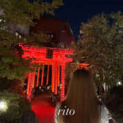 ヒメ日記 2026/04/10 09:30 投稿 りと プロフィール奈良店