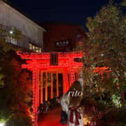 ヒメ日記 2026/04/18 21:00 投稿 りと プロフィール奈良店