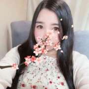 ヒメ日記 2025/02/13 15:23 投稿 うめ もみもみワンダーランド