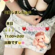 ヒメ日記 2025/05/01 11:23 投稿 上野ひなこ こあくまな熟女たち岩国店(KOAKUMAグループ)