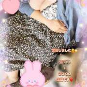 ヒメ日記 2025/05/08 12:42 投稿 上野ひなこ こあくまな熟女たち岩国店(KOAKUMAグループ)