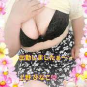 ヒメ日記 2025/05/20 18:12 投稿 上野ひなこ こあくまな熟女たち岩国店(KOAKUMAグループ)