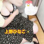 ヒメ日記 2025/06/15 12:23 投稿 上野ひなこ こあくまな熟女たち岩国店(KOAKUMAグループ)