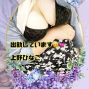 ヒメ日記 2025/06/17 14:36 投稿 上野ひなこ こあくまな熟女たち岩国店(KOAKUMAグループ)