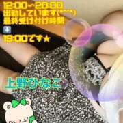 ヒメ日記 2025/06/24 12:19 投稿 上野ひなこ こあくまな熟女たち岩国店(KOAKUMAグループ)