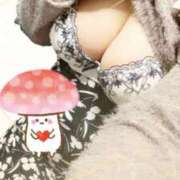 ヒメ日記 2025/11/01 20:00 投稿 上野ひなこ こあくまな熟女たち岩国店(KOAKUMAグループ)