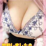 ヒメ日記 2025/11/26 11:40 投稿 上野ひなこ こあくまな熟女たち岩国店(KOAKUMAグループ)