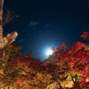 若草藍子(わかくさあいこ) 明日伺います 五十路マダムエクスプレス厚木店(カサブランカグループ)