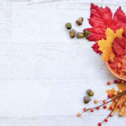 若草藍子(わかくさあいこ) 津波警報 五十路マダムエクスプレス厚木店(カサブランカグループ)