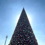 ヒメ日記 2025/12/19 18:54 投稿 若草藍子(わかくさあいこ) 五十路マダムエクスプレス厚木店(カサブランカグループ)