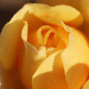 ヒメ日記 2026/01/05 19:40 投稿 若草藍子(わかくさあいこ) 五十路マダムエクスプレス厚木店(カサブランカグループ)