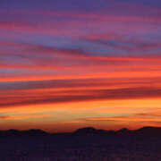 ヒメ日記 2026/02/09 19:44 投稿 若草藍子(わかくさあいこ) 五十路マダムエクスプレス厚木店(カサブランカグループ)