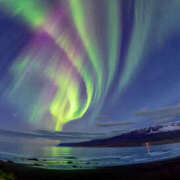 ヒメ日記 2026/02/10 19:56 投稿 若草藍子(わかくさあいこ) 五十路マダムエクスプレス厚木店(カサブランカグループ)