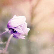 ヒメ日記 2026/02/11 12:32 投稿 若草藍子(わかくさあいこ) 五十路マダムエクスプレス厚木店(カサブランカグループ)