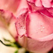 ヒメ日記 2026/02/11 20:00 投稿 若草藍子(わかくさあいこ) 五十路マダムエクスプレス厚木店(カサブランカグループ)